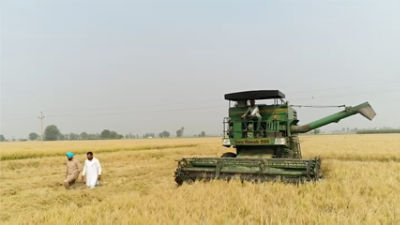 two men walking in field with farm equipment